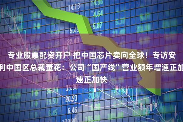 专业股票配资开户 把中国芯片卖向全球！专访安富利中国区总裁董花：公司“国产线”营业额年增速正加快