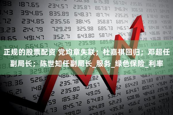 正规的股票配资 党均章失联；杜嘉祺回归；邓超任副局长；陈世知任副局长_服务_绿色保险_利率